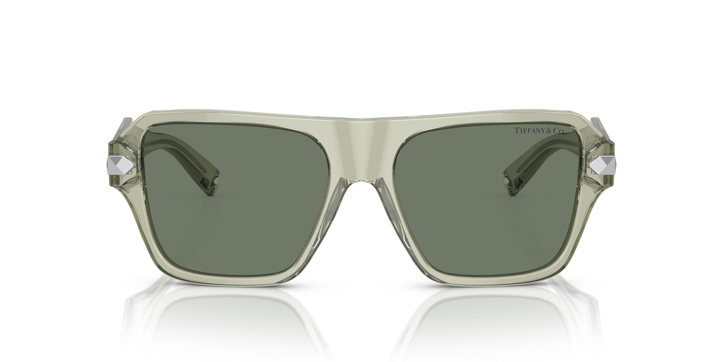 Tiffany TF4204 83783H 54