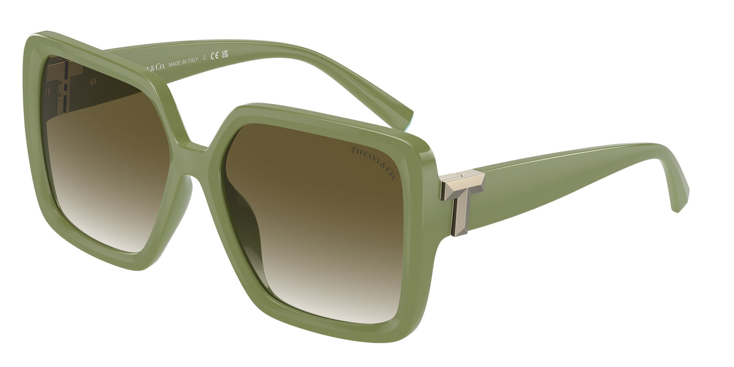 Tiffany TF4206U 83687Z 58