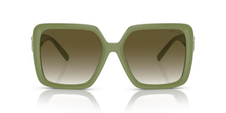 Tiffany TF4206U 83687Z 58