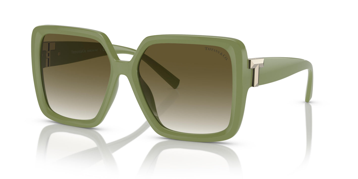 Tiffany TF4206U 83687Z 58