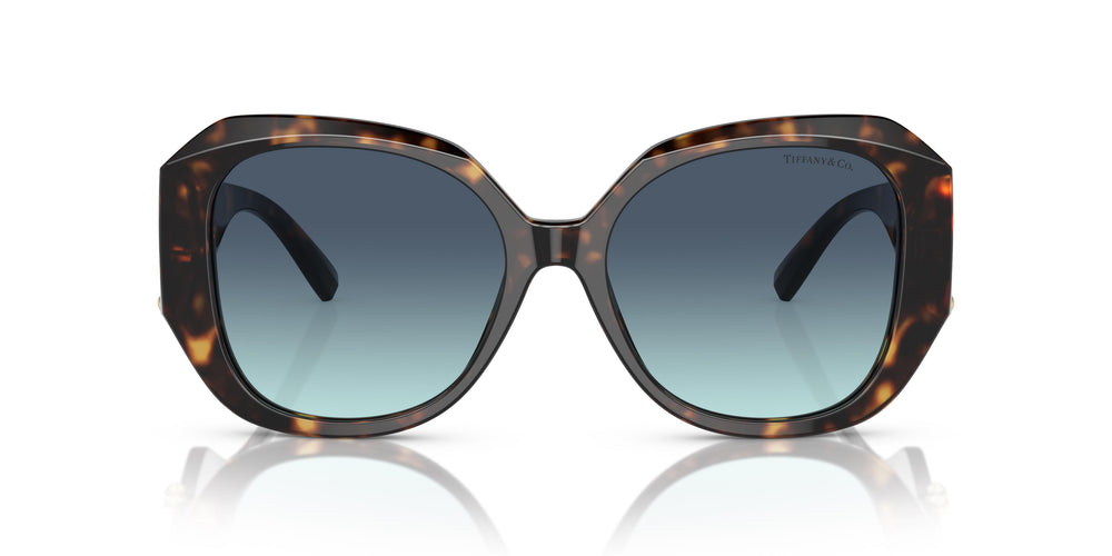 Tiffany &amp; Co. TF4207B 80159S 55