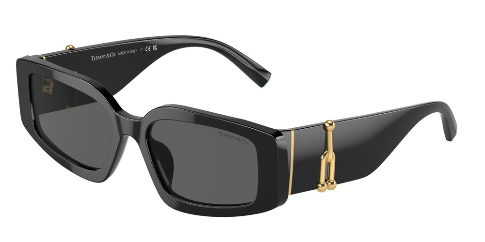 Tiffany & Co. TF4208U 8001S4 54