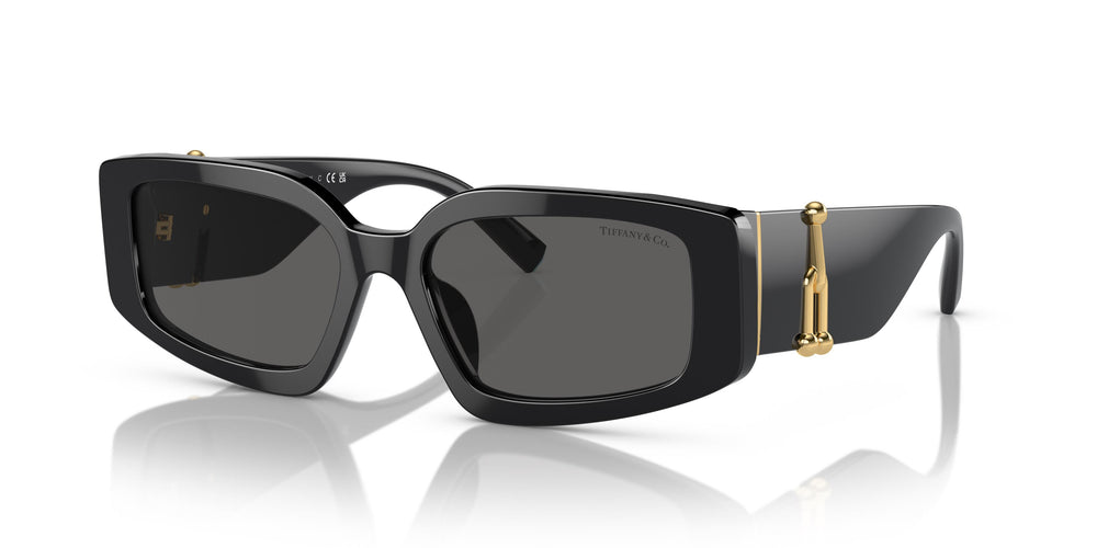 Tiffany & Co. TF4208U 8001S4 54