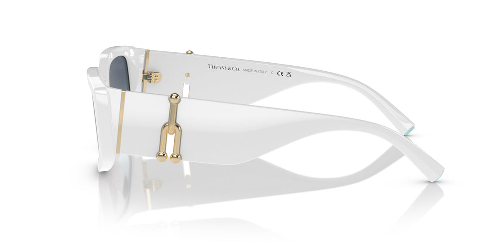 Tiffany &amp; Co. TF4208U 83579S 54