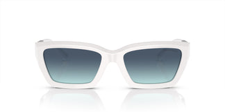 Tiffany & Co. TF4213 83929S 54