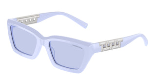 Tiffany & Co. TF4213 83971A 54