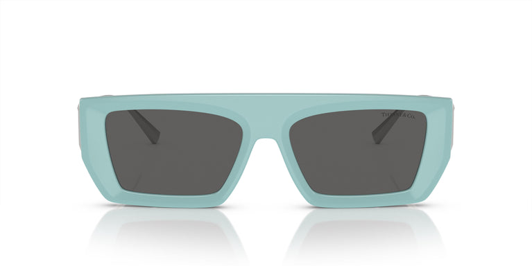 Tiffany & Co. TF4214U 8388S4 54