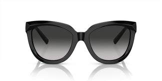 Tiffany & Co. TF4215 80013C 53
