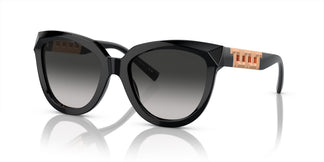 Tiffany & Co. TF4215 80013C 53