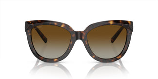 Tiffany & Co. TF4215 8015T5 53