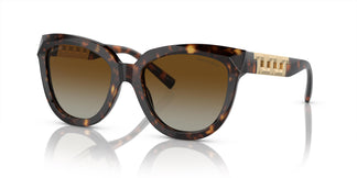 Tiffany & Co. TF4215 8015T5 53