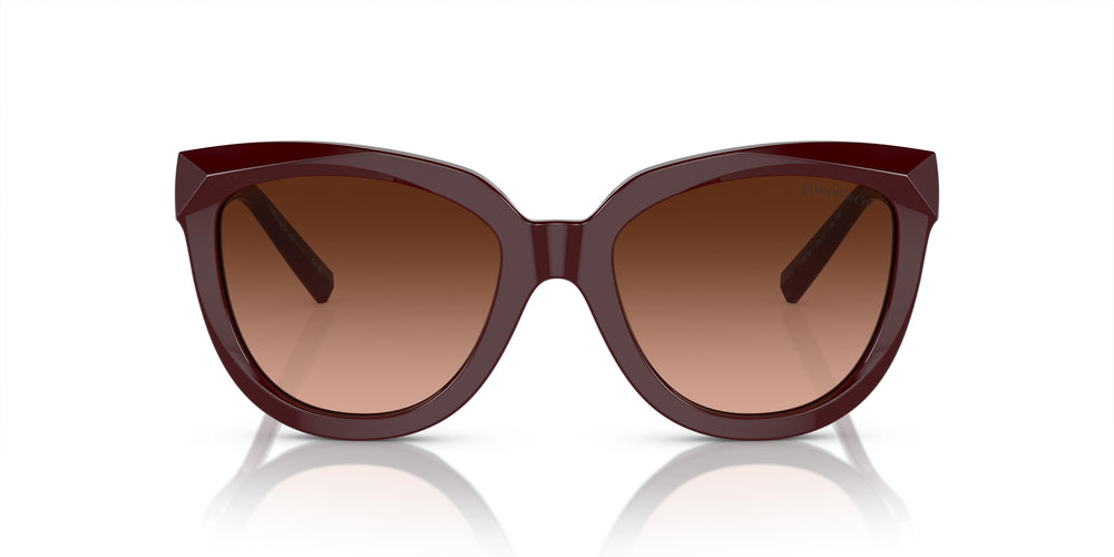 Tiffany & Co. TF4215 83895M 53