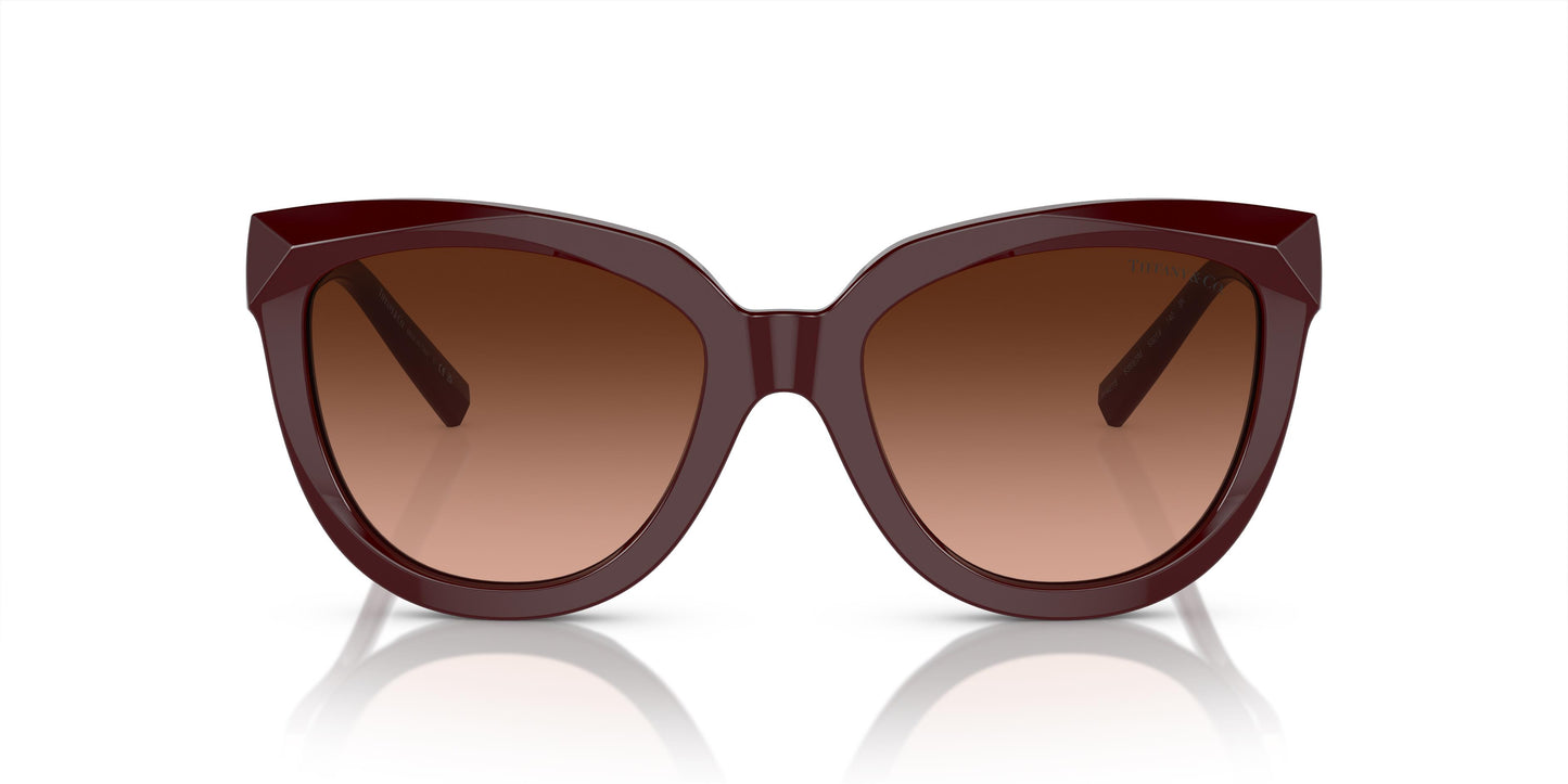 Tiffany & Co. TF4215 83895M 53