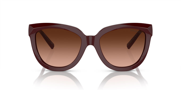 Tiffany & Co. TF4215 83895M 53