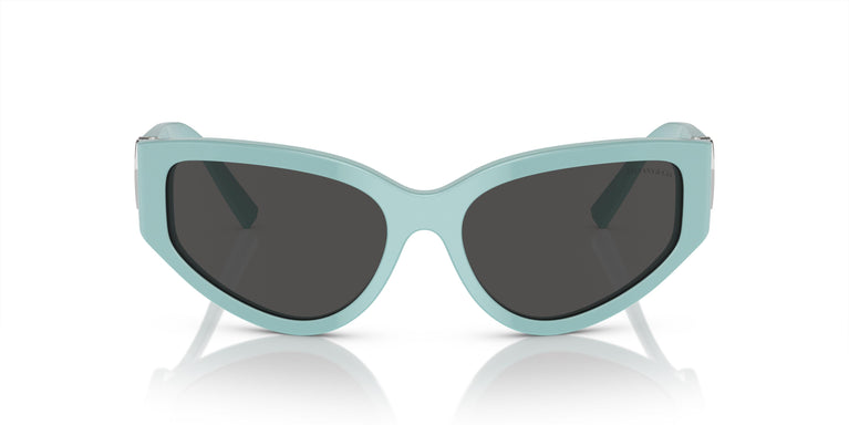 Tiffany & Co. TF4217 838887 59