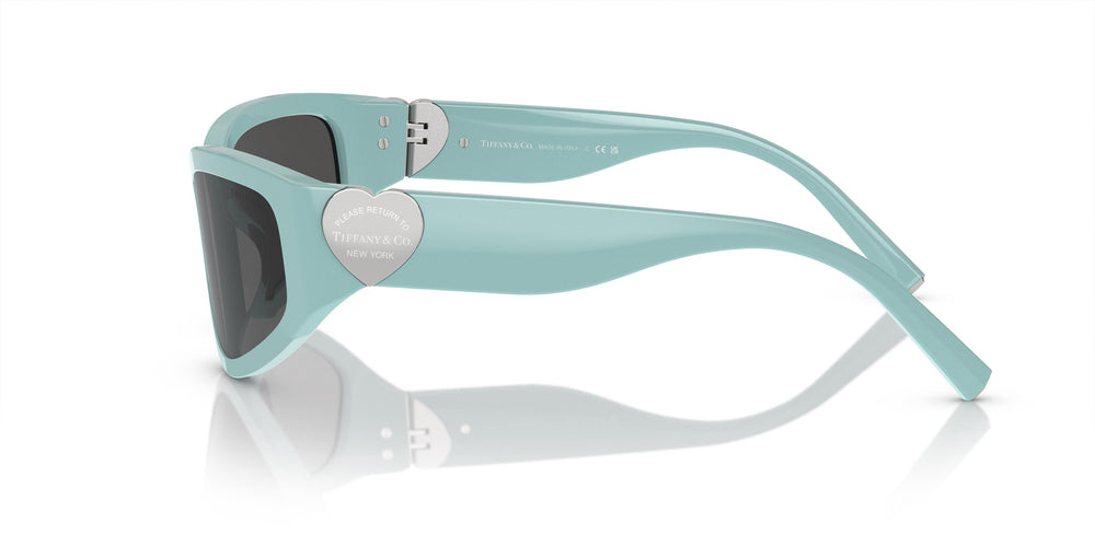Tiffany &amp; Co. TF4217 838887 59