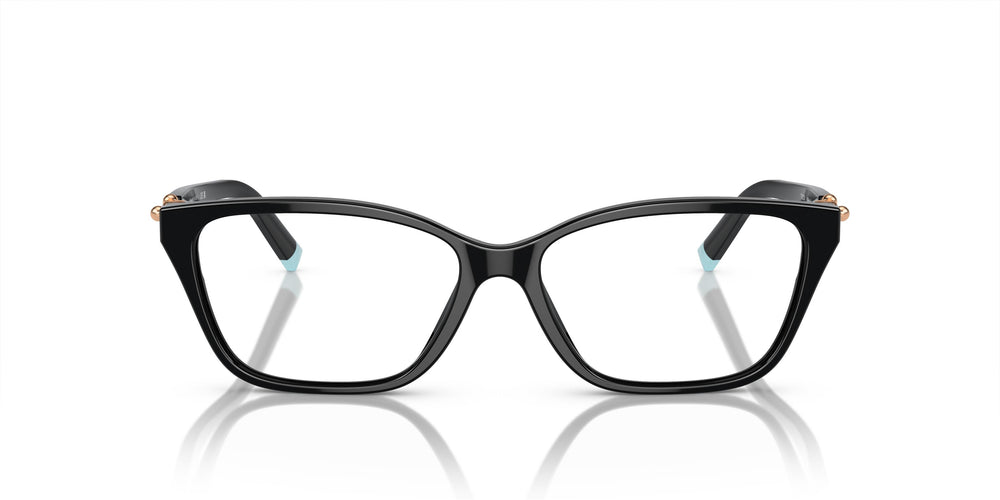 Tiffany TF2229 8420 53