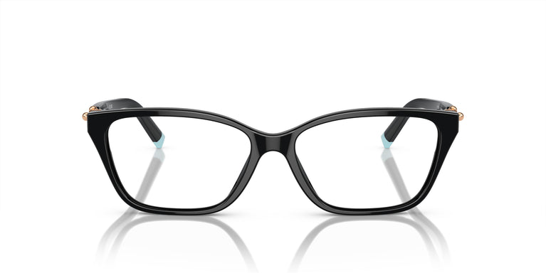 Tiffany TF2229 8420 53