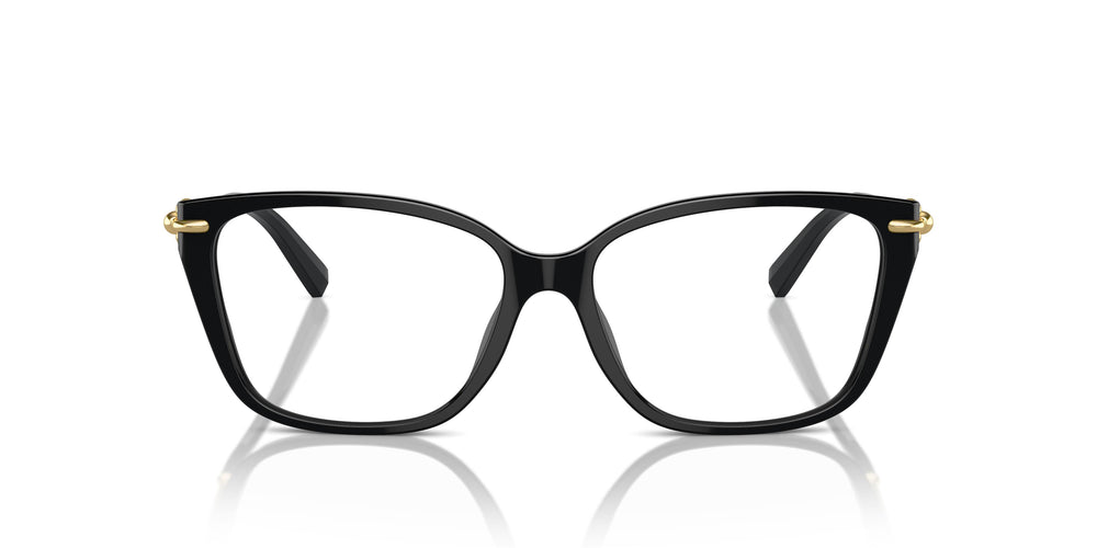 Tiffany TF2248K 8402 53