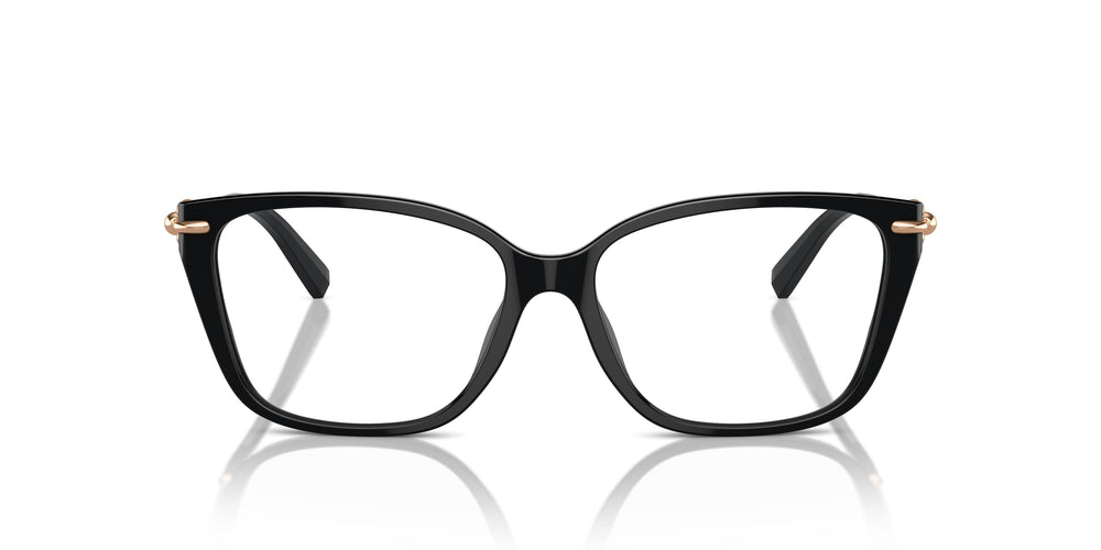 Tiffany TF2248K 8403 53