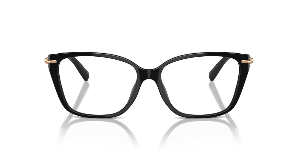 Tiffany TF2248K 8403 55
