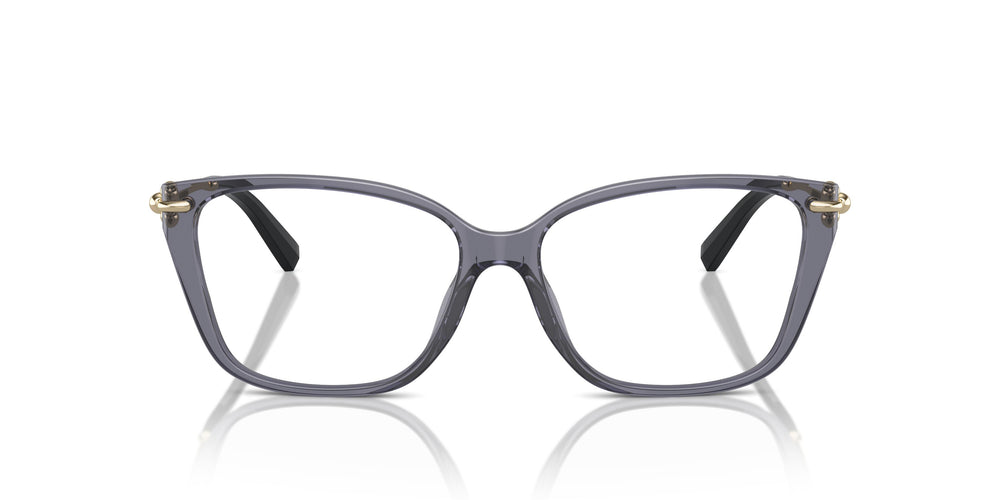 Tiffany TF2248K 8405 55
