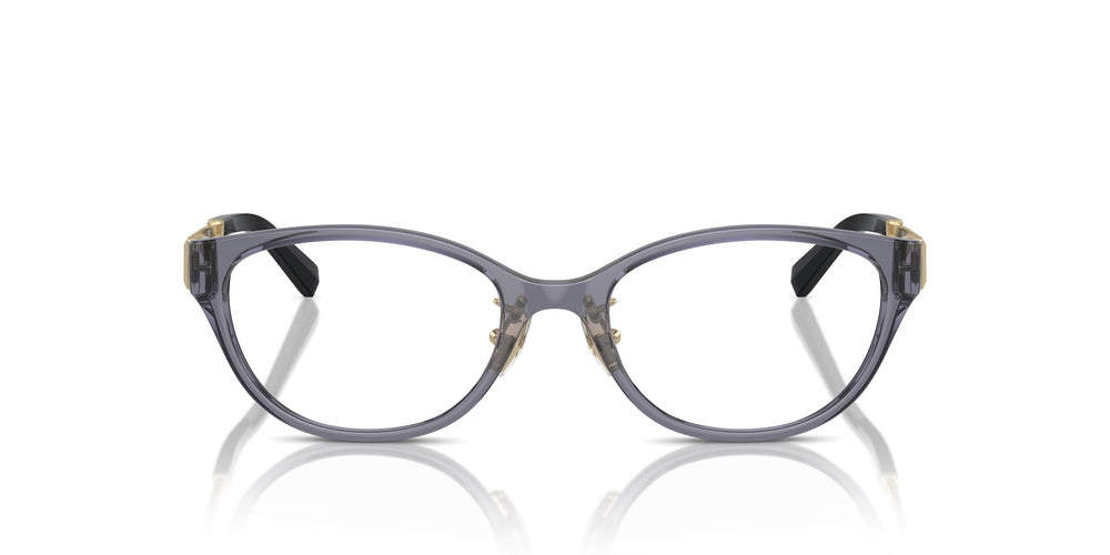 Tiffany TF2252D 8405 51