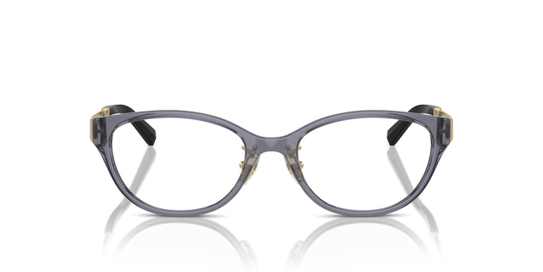Tiffany TF2252D 8405 51