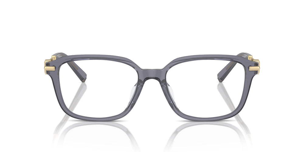 Tiffany TF2253D 8405 54