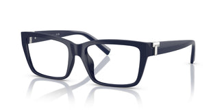 Tiffany TF2256U 8396 54