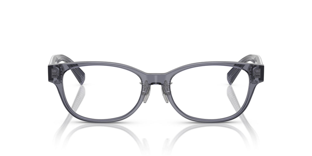 Tiffany TF2263D  8405 53