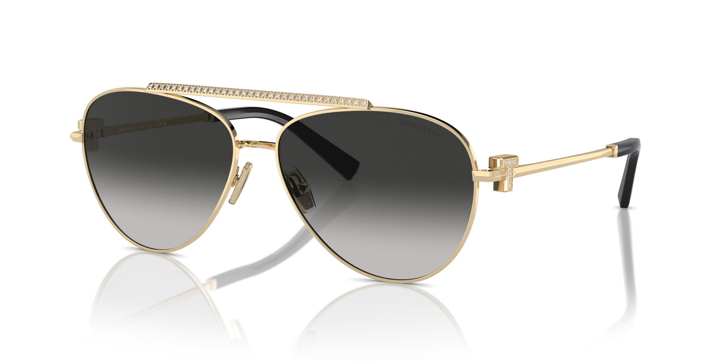 Tiffany TF3101B 60213C 59