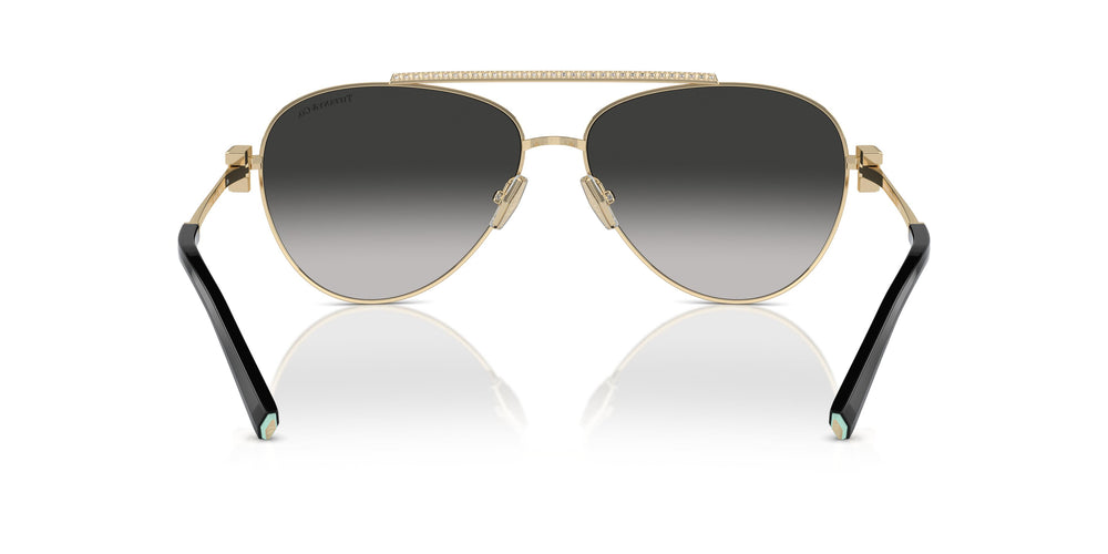 Tiffany TF3101B 60213C 59