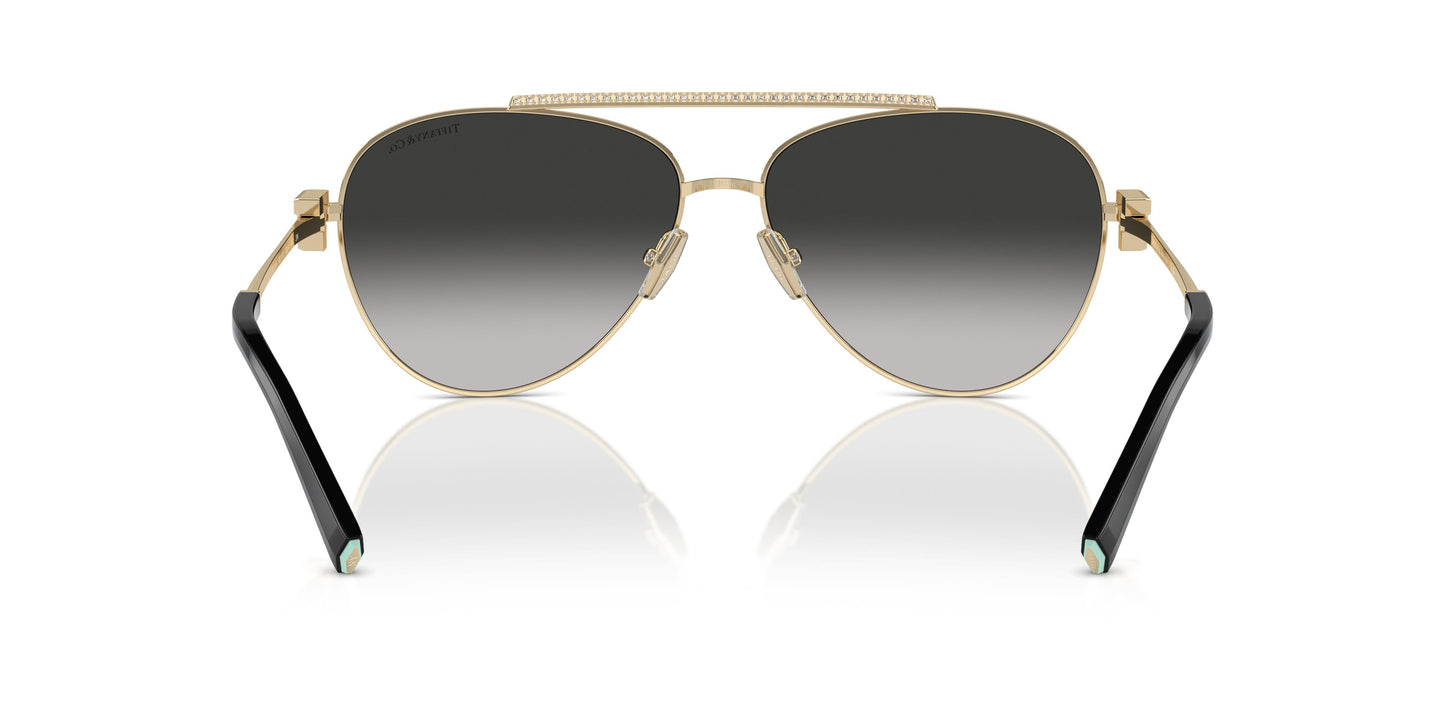 Tiffany TF3101B 60213C 59
