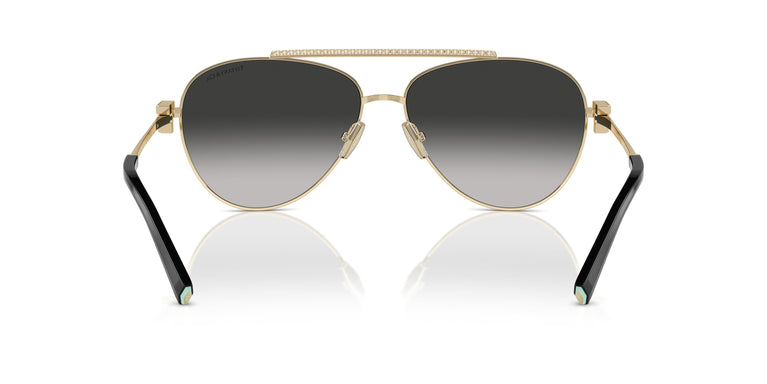 Tiffany TF3101B 60213C 59