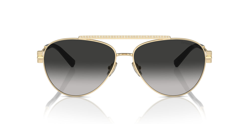 Tiffany TF3101B 60213C 59