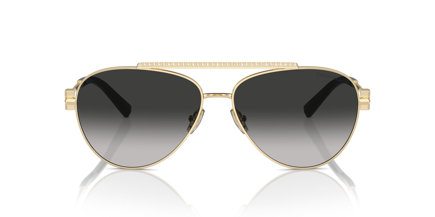 Tiffany TF3101B 60213C 59