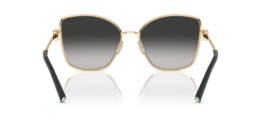 Tiffany TF3102B 60213C 58