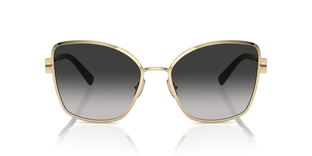 Tiffany TF3102B 60213C 58