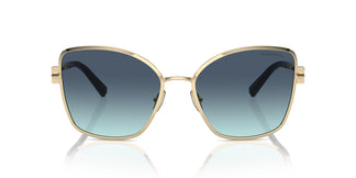 Tiffany TF3102B 62029S 58