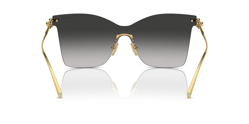 Tiffany TF3103K 62113C 0