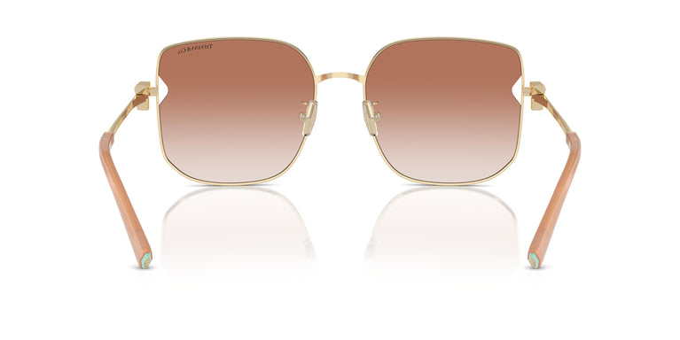 Tiffany TF3105D 616113 58