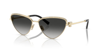 Tiffany TF3107KB 62203C 59