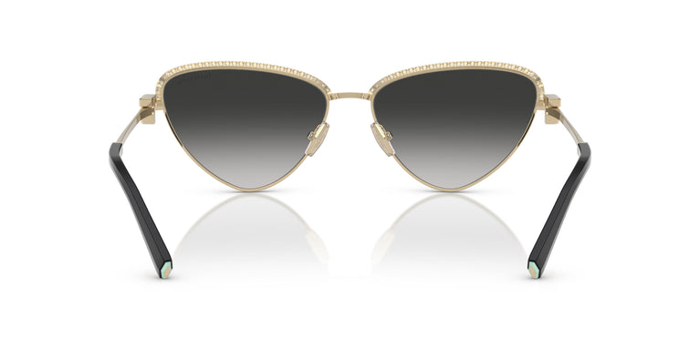 Tiffany TF3107KB 62203C 59