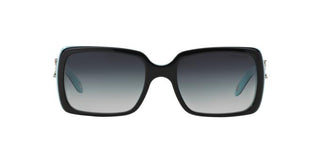 Tiffany TF4047B  80553C 55