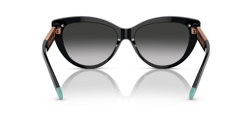 Tiffany TF4196 80013C 56