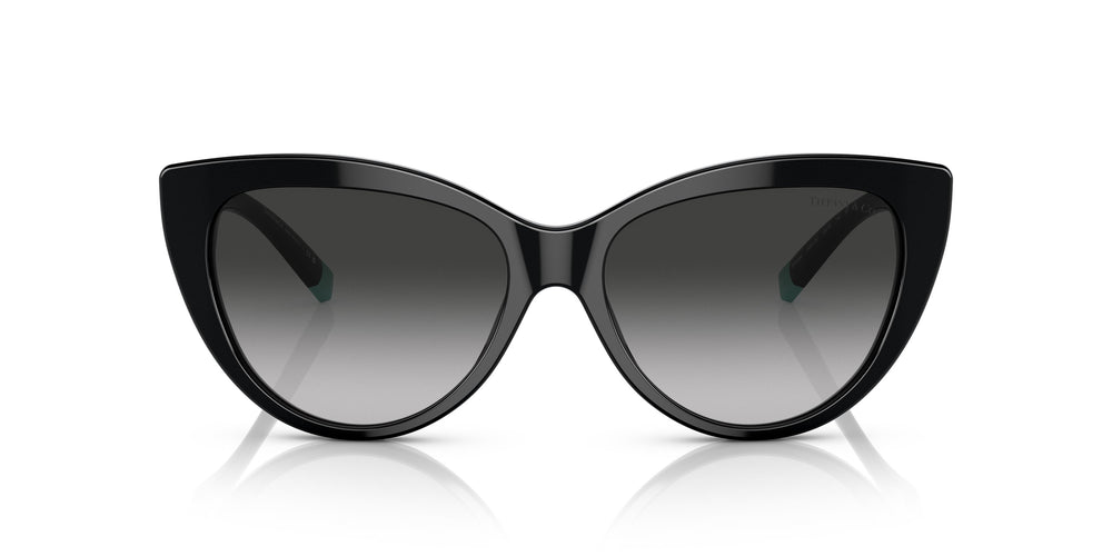 Tiffany TF4196 80013C 56