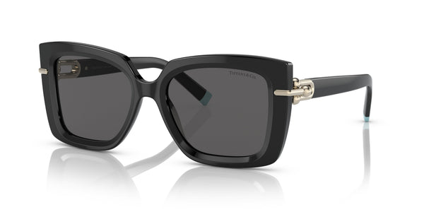 Tiffany TF4199 8001S4 53 Sunglasses | Bassol Optic United States