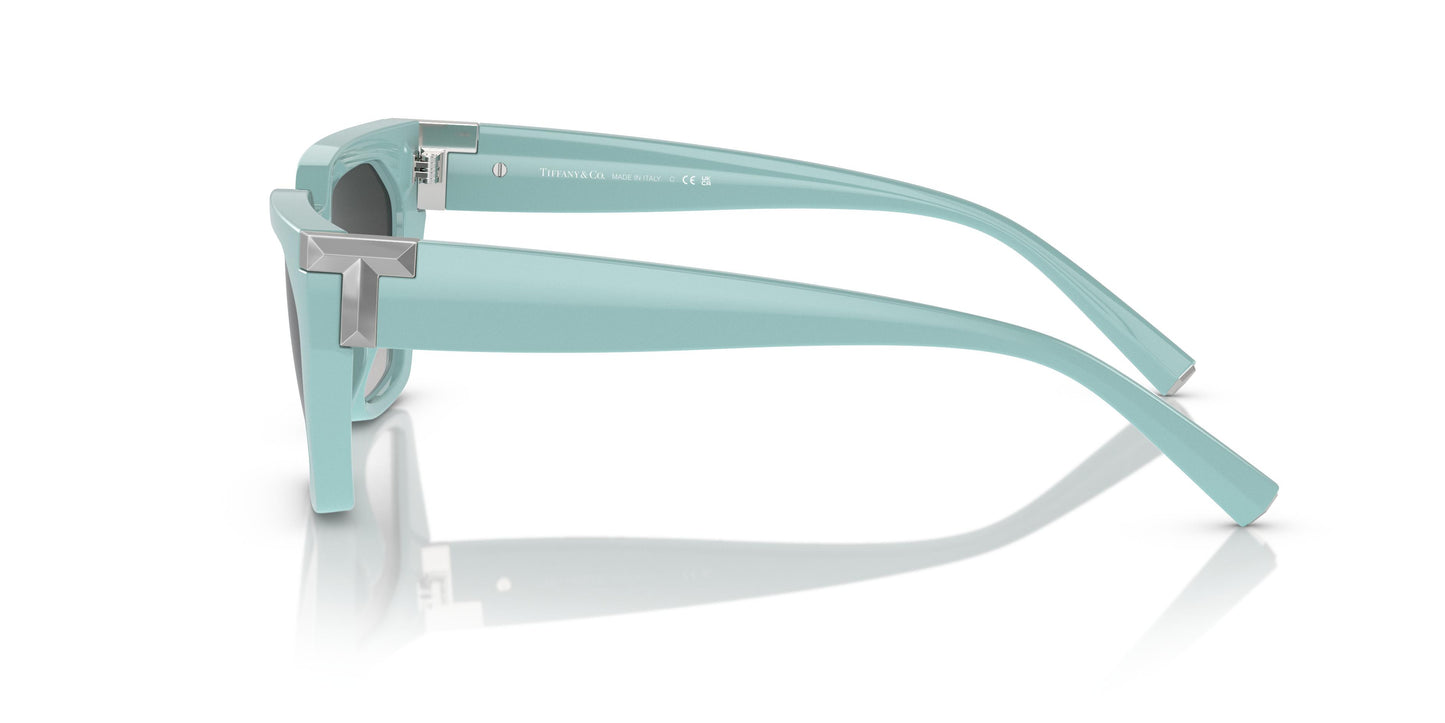 Tiffany TF4205U  83883C 56