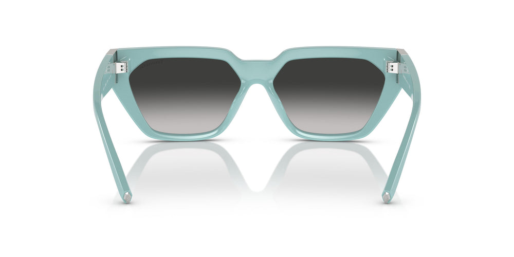 Tiffany TF4205U 83883C 56